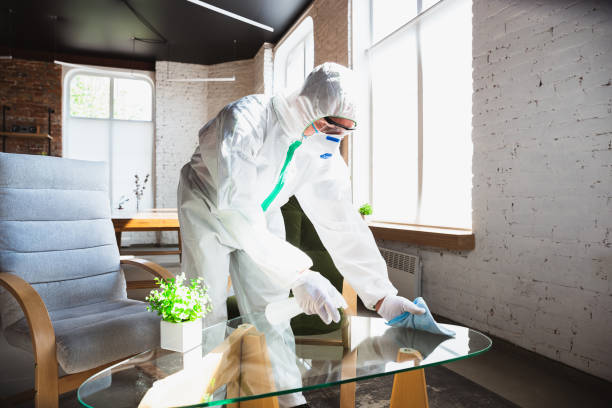 Best Commercial Mold Inspection in West Freehold, NJ